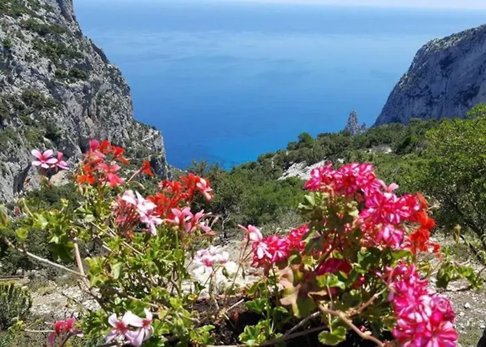 Appartement Baus Baunei